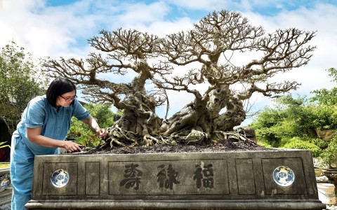 Xuất lộ tác phẩm Sanh cổ Song Long Toạ Thạch